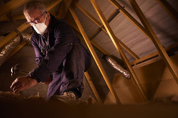 Best Insulation Maintenance and Repair in Strum, WI